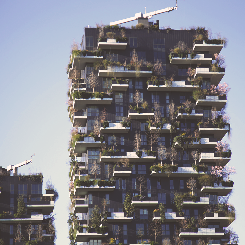 Bosco_verticale_Vicino al VIU